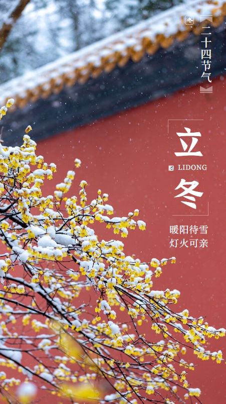 081667876622901151.jpeg 立冬.JPG