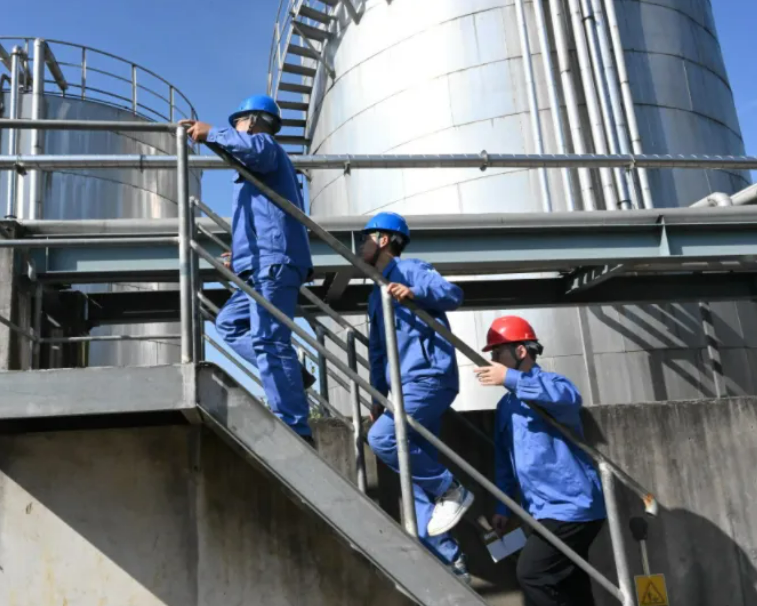 101725926951183534.png image.png