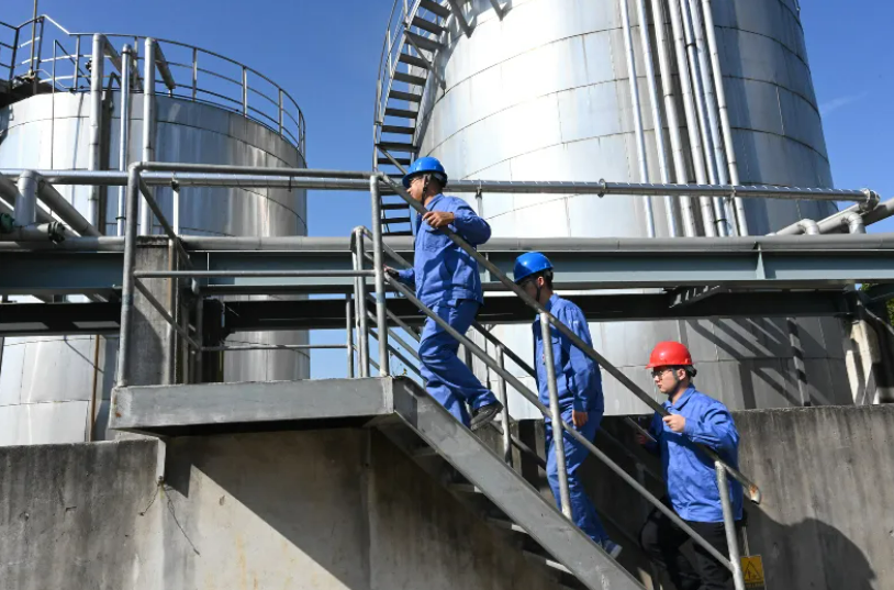 311753920790178387.png image.png